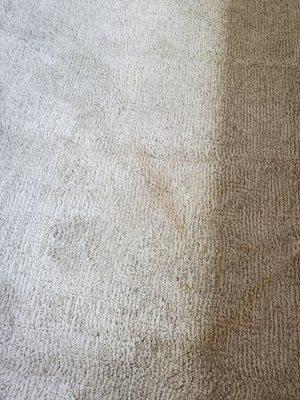 Carpet stain