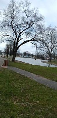 The pond in trees in a few houses