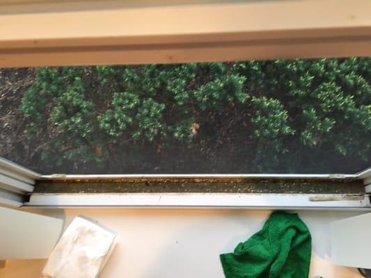 Are your windows holding onto some extra dirt?! Book your cleaning and get your windows cleaned for an additional charge!