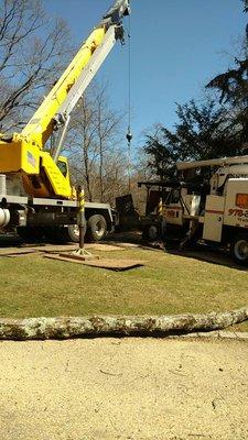 Contact us today! Tree services, landscaping, snow removal, and more!