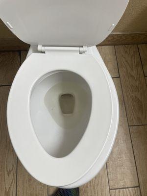 Piss in toilet