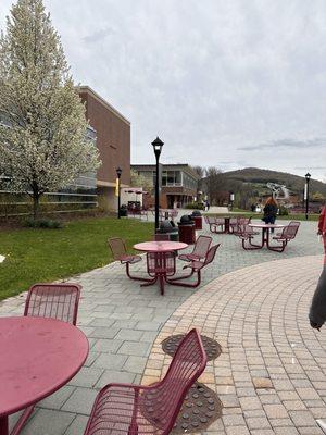 Center of campus, surrounding the Bronco statue thing