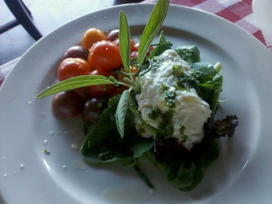 Cherry tomatoes burrata and pesto