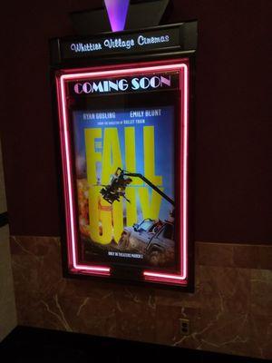 The Fall Guy