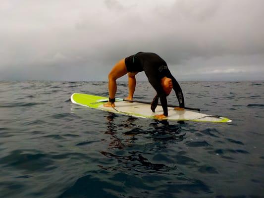 Paddle board yoga with Humpback Whales in Maui, Hawaii