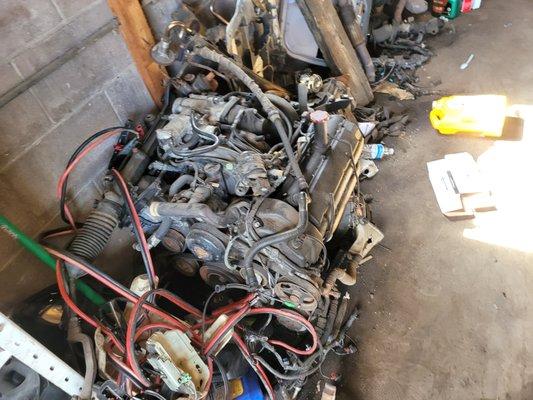 Jaguar engine for sale