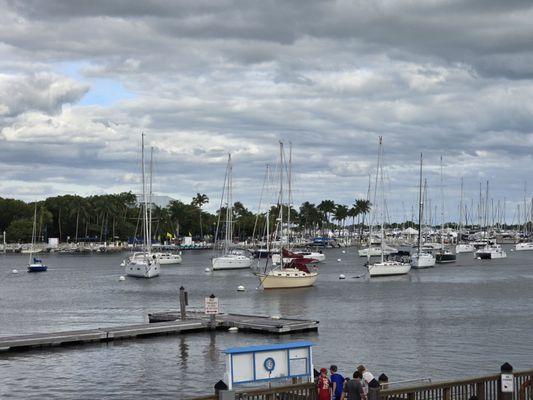 Coconut Grove Sailing Club