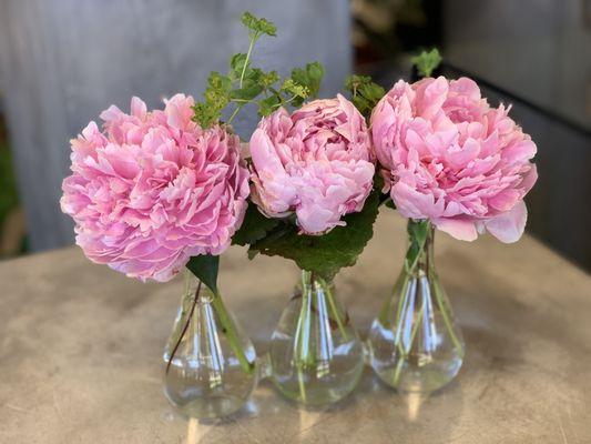 Peonies