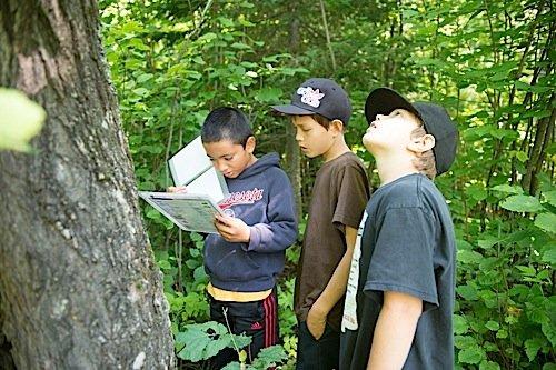 Schools meet national science standards.