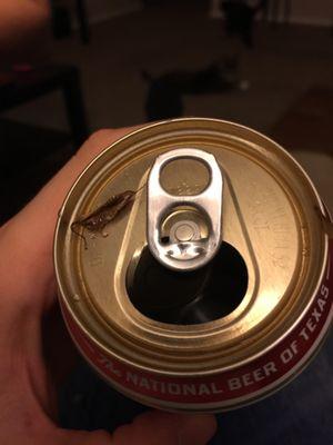 I set my beer down for a moment, and when I took another drink, there was a lump in my mouth. I spit it out and this is what I found.