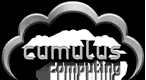 Cumulus Computing LLC