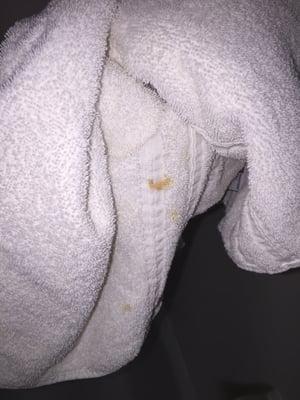 Orangeish stained towels...gross!