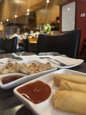 Pork Gyoza and Spring Roll