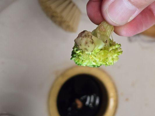 Moldy broccoli that had been cooked with the mixed vegetables in our food.