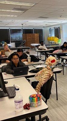 Techniques in class today and all are studying hard. #fremontlife #massagetherapy