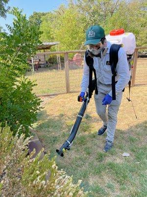 Mosquito backpack misting treatment.