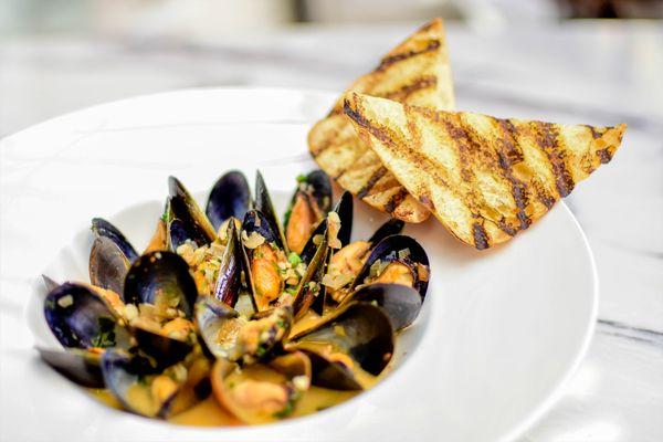 Mussels, vermouth broth grilled ciabatta