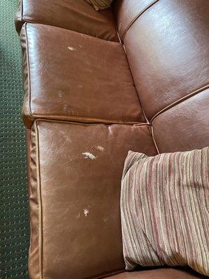 Another ripped couch