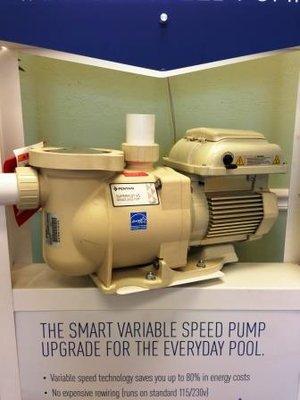 Pool Pumps and Motors