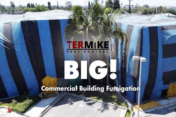 Commercial Building Fumigation.
 Call (714) 222-1326