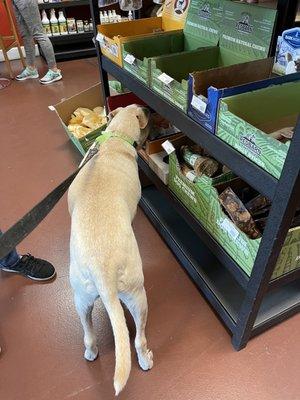 Gramps picking out his treat, today.