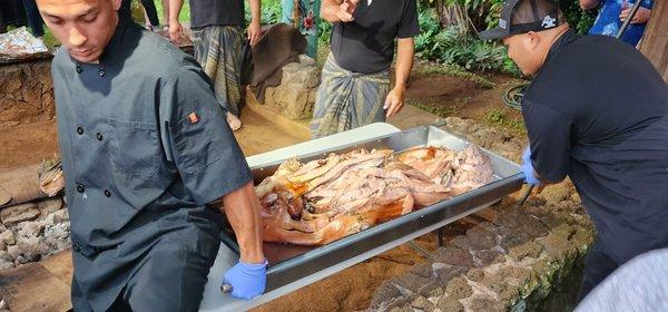 Roast pig being removed from imu