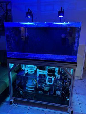 120 gallon acrylic tank