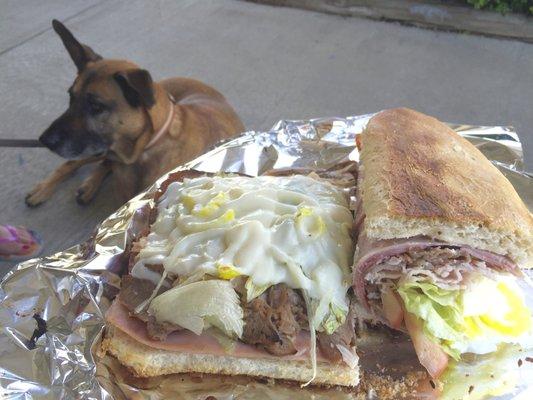 Alfredo Sub - Big and very tasty.  Eating outside with Chop