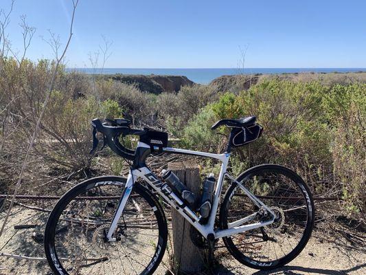 I don't have pictures of the shop so here is a picture of my bike.  2015 Giant Defy Advanced.