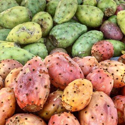 Prickly Pears