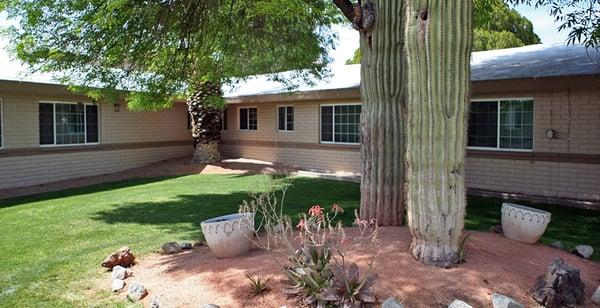 Scottsdale Nursing & Rehab's back yard is a greenbelt where our guests enjoy bird watching, relaxing, and visiting.