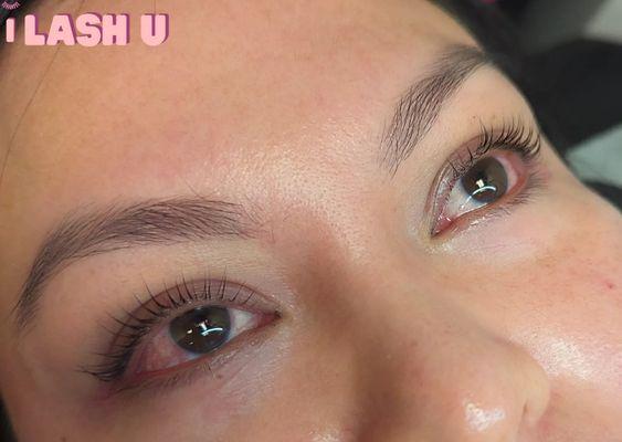 Lash lift $100