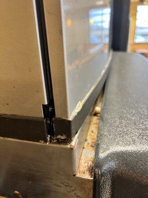 Mold at ice box - soda fountain machine