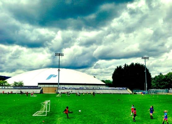 Merlo Field - University of Portland