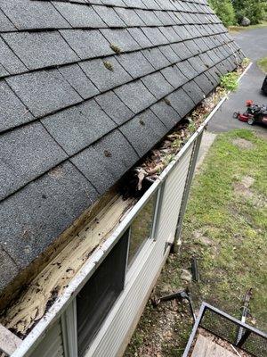 Gutter cleaning