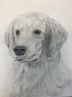 pencil portrait by junior