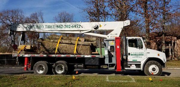 With over 14 years of experience we can do any tree  job no job too big or small 
862 202 6452 
Navarro Tree