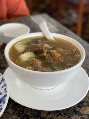 Beef stew noodles