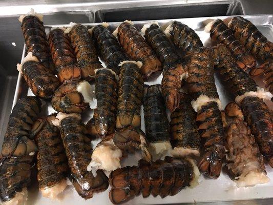 Maine Lobster Tails