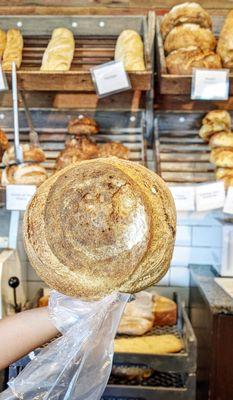 GIANT Whole Wheat Sourdough