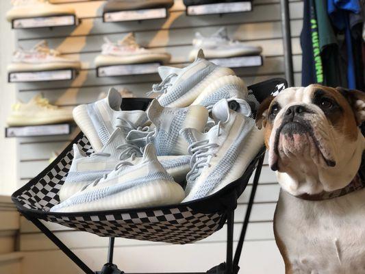 Squish is working tirelessly to bring you more options! Here are some Yzy 350's that he acquired. Check our Instagram @luckydogclothing