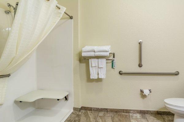 Mobility Accessible Roll-In Shower with Bench Seat