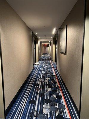 Hallways with baseball theme and custom room number stitched into the carpets