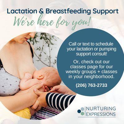 Hey, Seattle area breastfeeding parents...looking for support or guidance on your breastfeeding journey? We've got you!