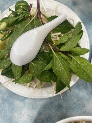 Basil, mung beans, jalapeno and limes accompaniments