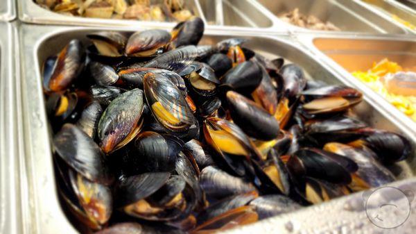 Yummy mussels looked so fresh!