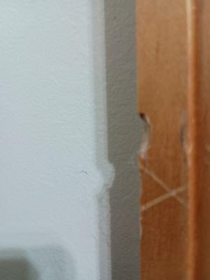 Closet door trim damage