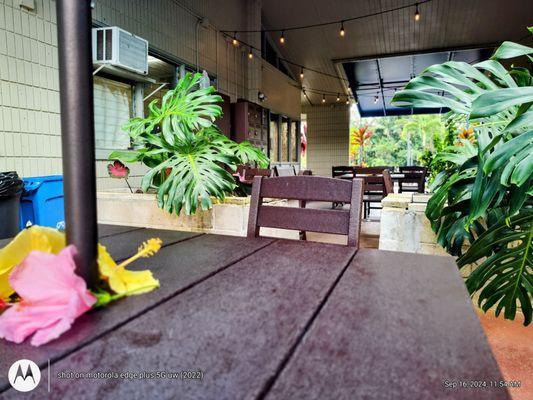 Relaxing dining area for Tiki Turtle Cafe