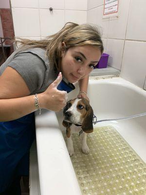 Tubs are very large for dog washing