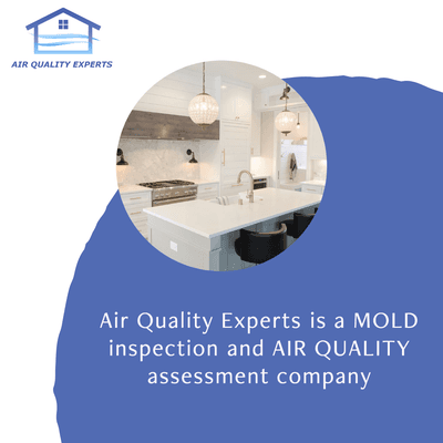 We are a Mold inspection and Air Quality assessment service